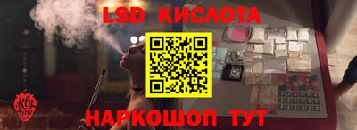 винт Бердск
