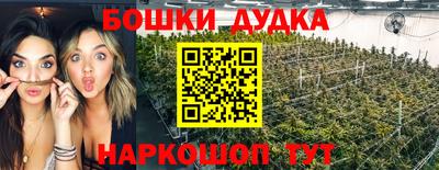 крисы Белореченск